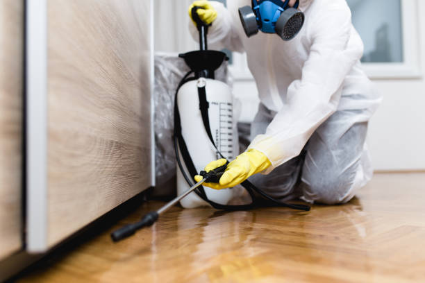 Best Pest Removal Services  in Lake Station, IN