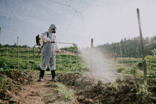 Best Commercial Pest Control Services  in Lake Station, IN