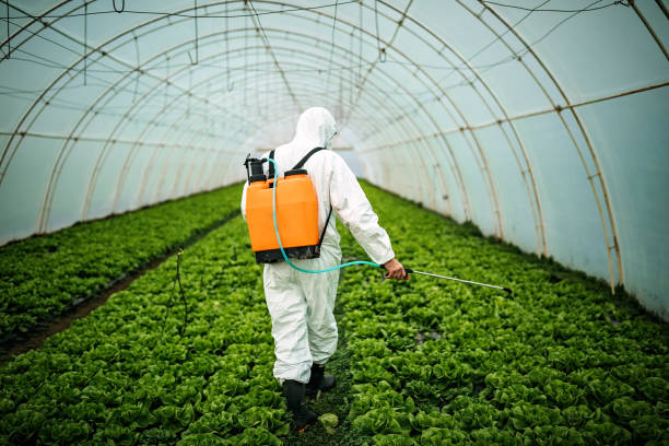 Best Pest Inspection Near Me  in Lake Station, IN