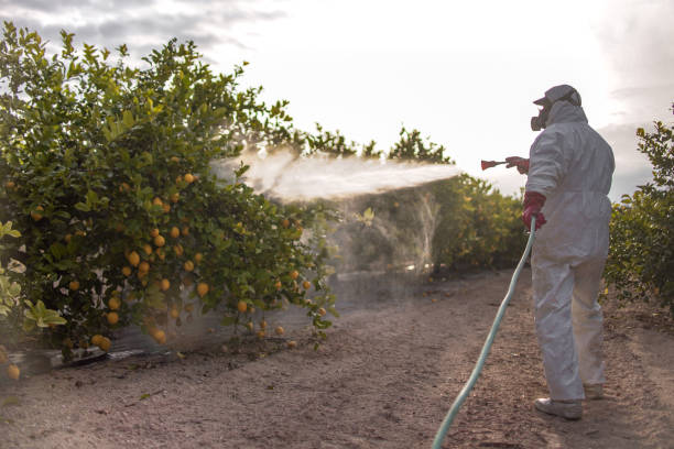 Best Wildlife Control Services  in Lake Station, IN