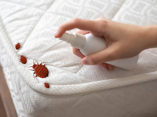 Best Pest Control Near Me  in Lake Station, IN