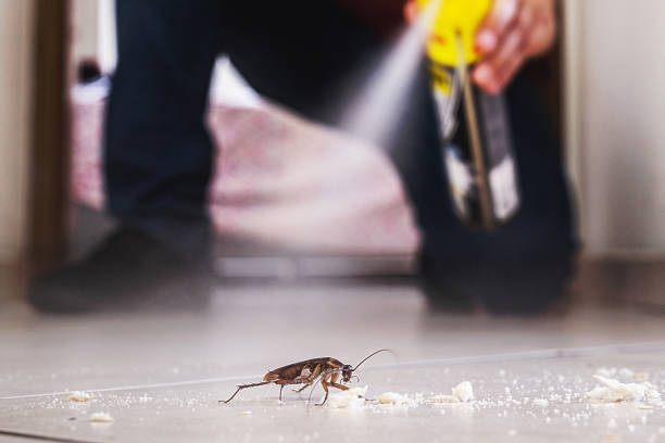 Best Affordable Pest Control Services  in Lake Station, IN